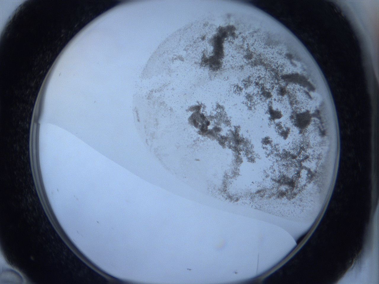 06c2_D10_ImagerDefaults_3.jpg