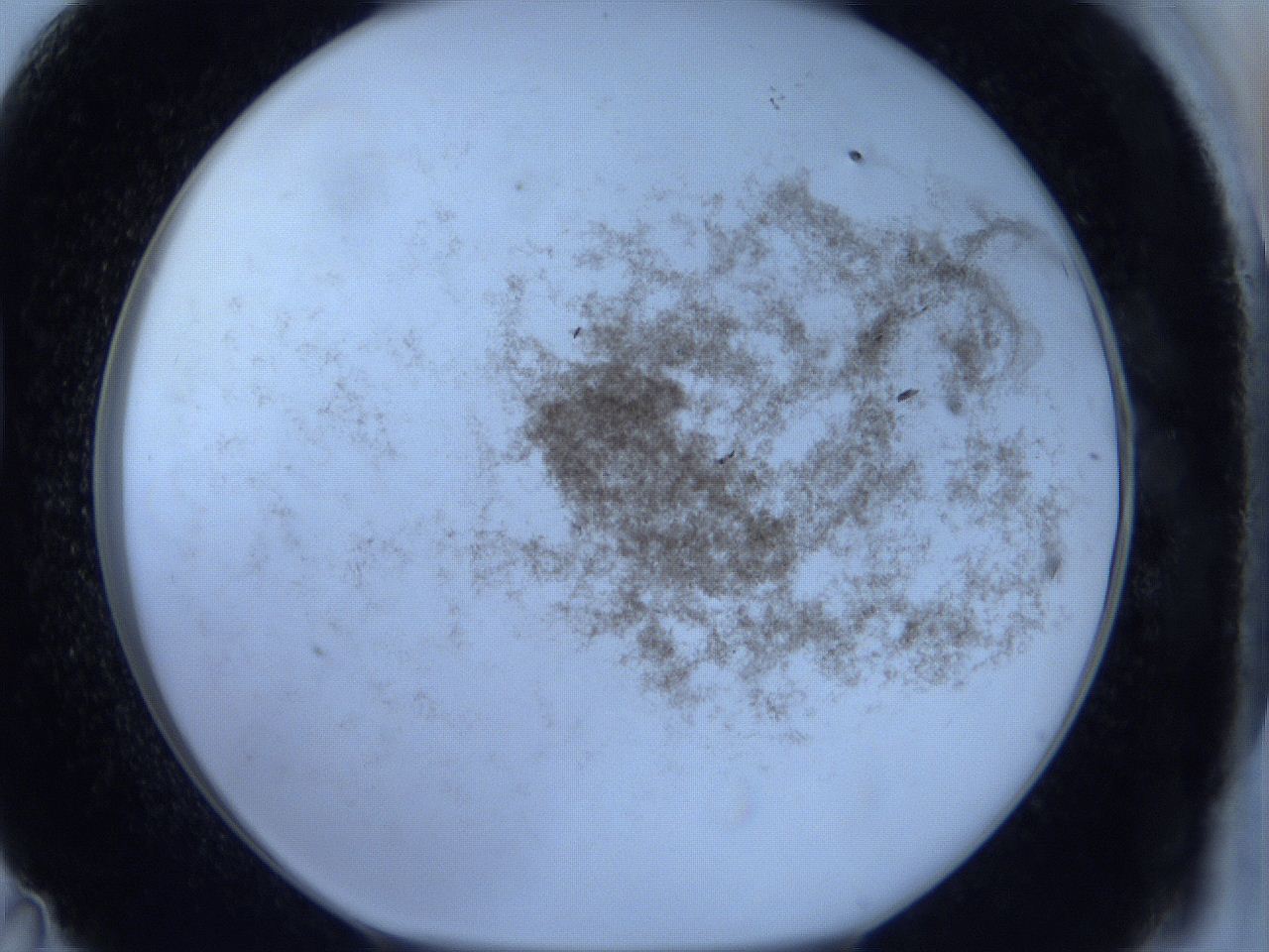 06c2_D11_ImagerDefaults_3.jpg