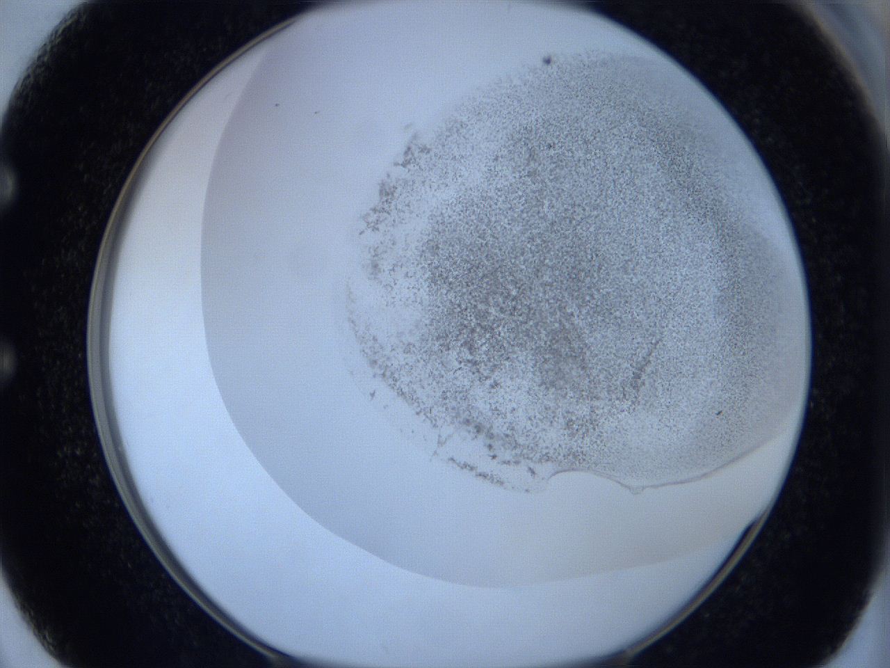 06c2_E2_ImagerDefaults_5.jpg