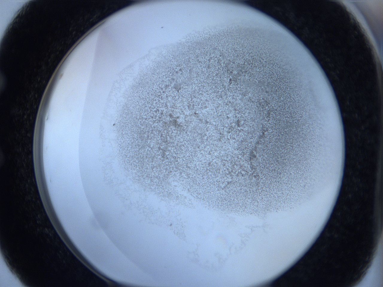 06c2_E5_ImagerDefaults_3.jpg