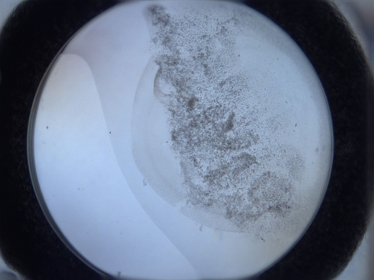 06c2_F10_ImagerDefaults_3.jpg