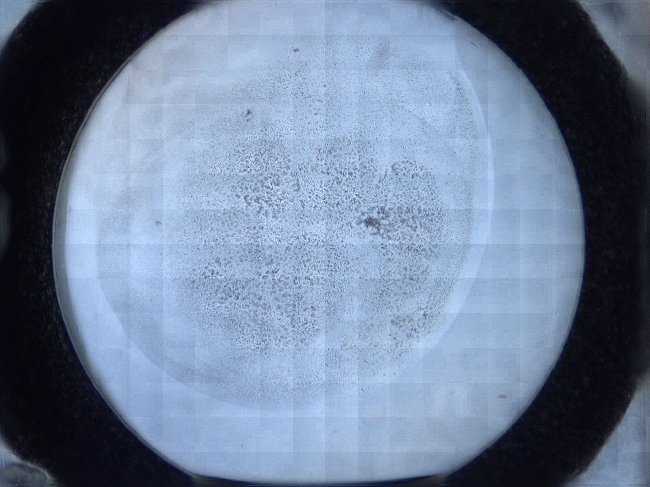 06c2_G12_ImagerDefaults_3.jpg