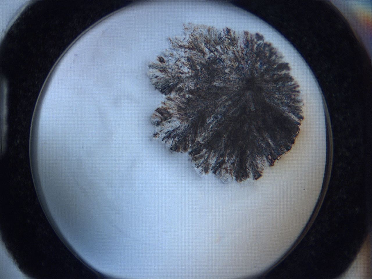 06c2_H4_ImagerDefaults_3.jpg