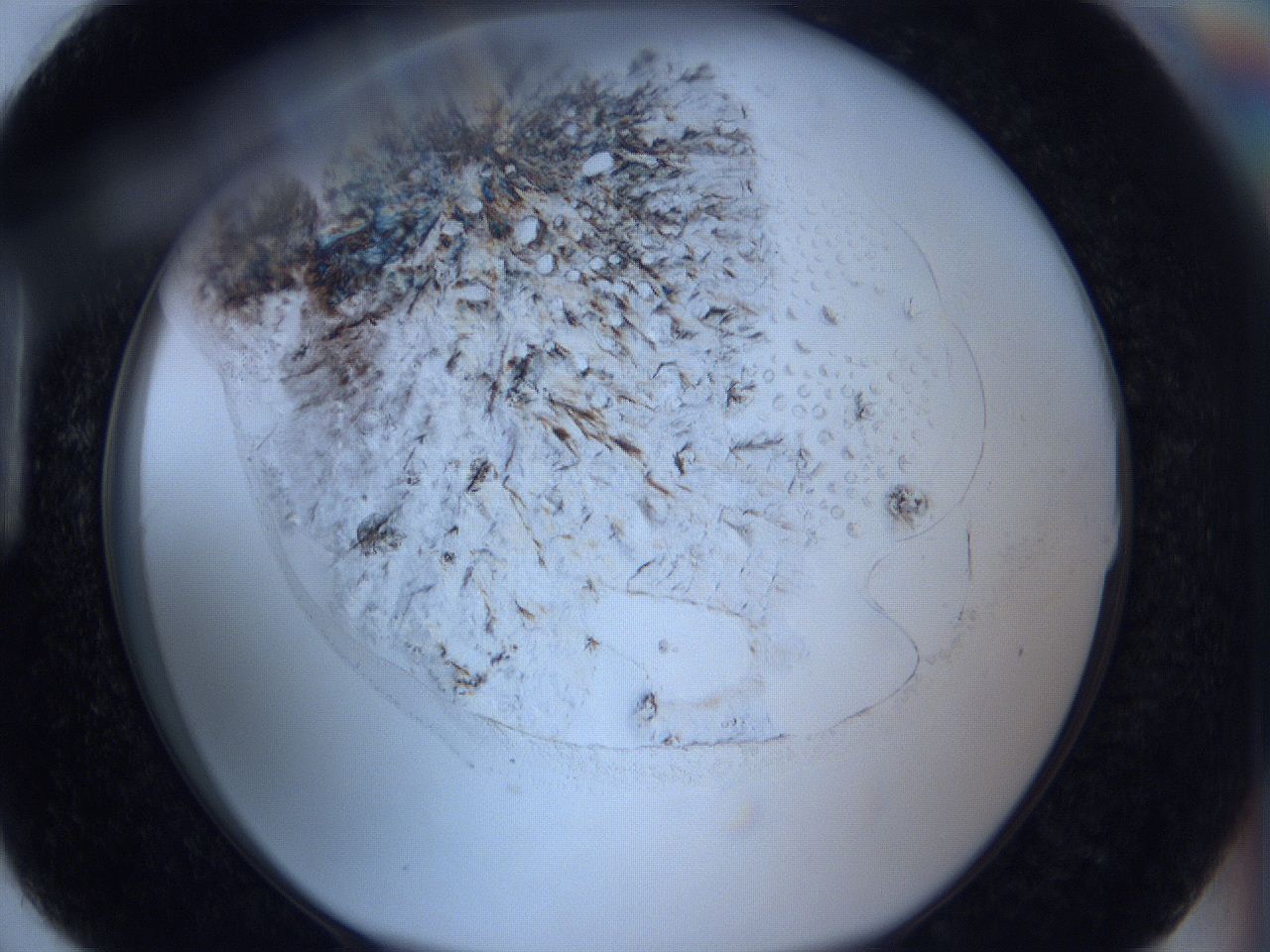 06c2_H6_ImagerDefaults_2.jpg