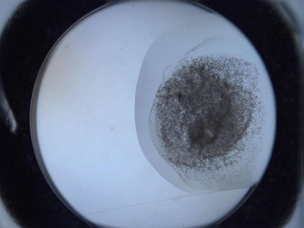 06c3_A3_ImagerDefaults_3.jpg
