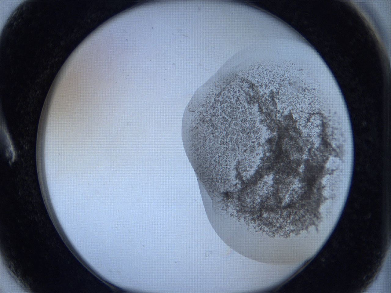 06c3_A6_ImagerDefaults_3.jpg