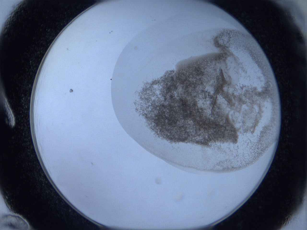 06c3_A12_ImagerDefaults_3.jpg