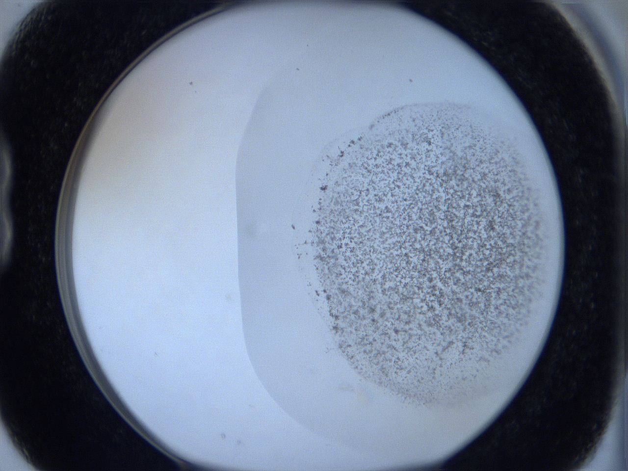 06c3_B3_ImagerDefaults_2.jpg