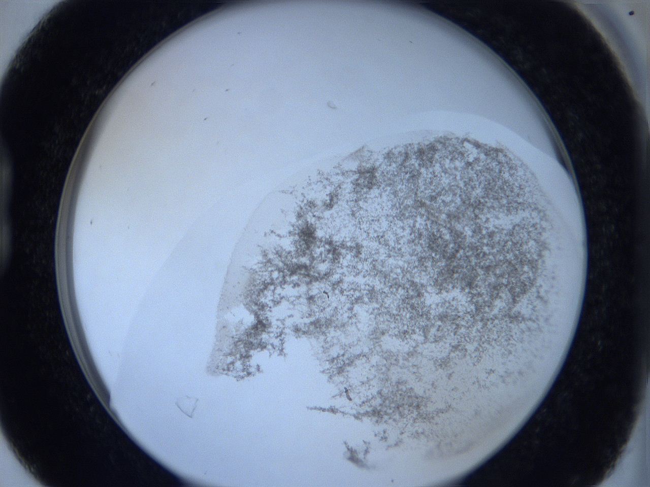 06c3_B4_ImagerDefaults_3.jpg