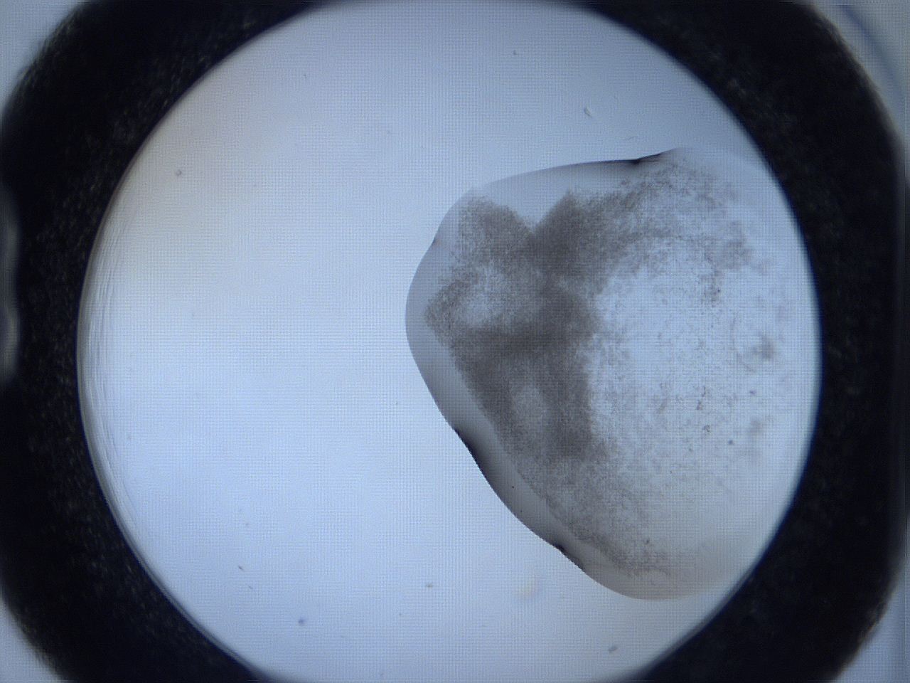 06c3_B6_ImagerDefaults_2.jpg