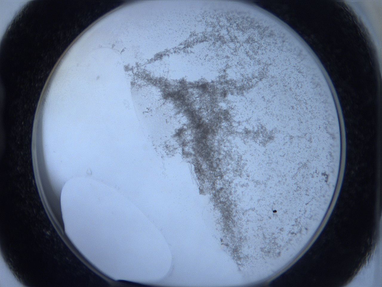 06c3_B9_ImagerDefaults_3.jpg