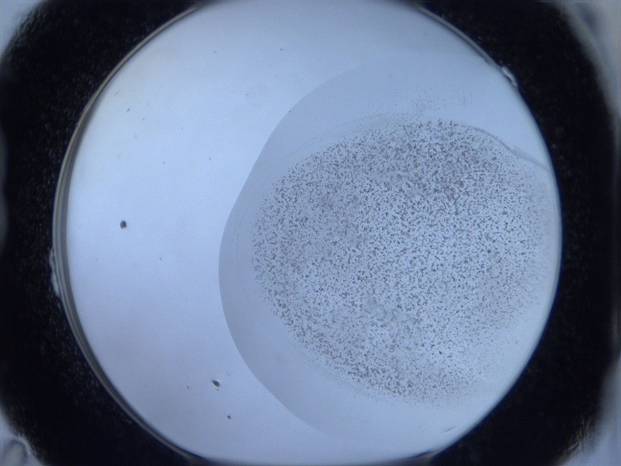 06c3_B11_ImagerDefaults_2.jpg