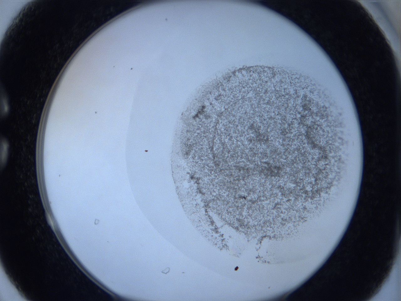 06c3_C6_ImagerDefaults_3.jpg