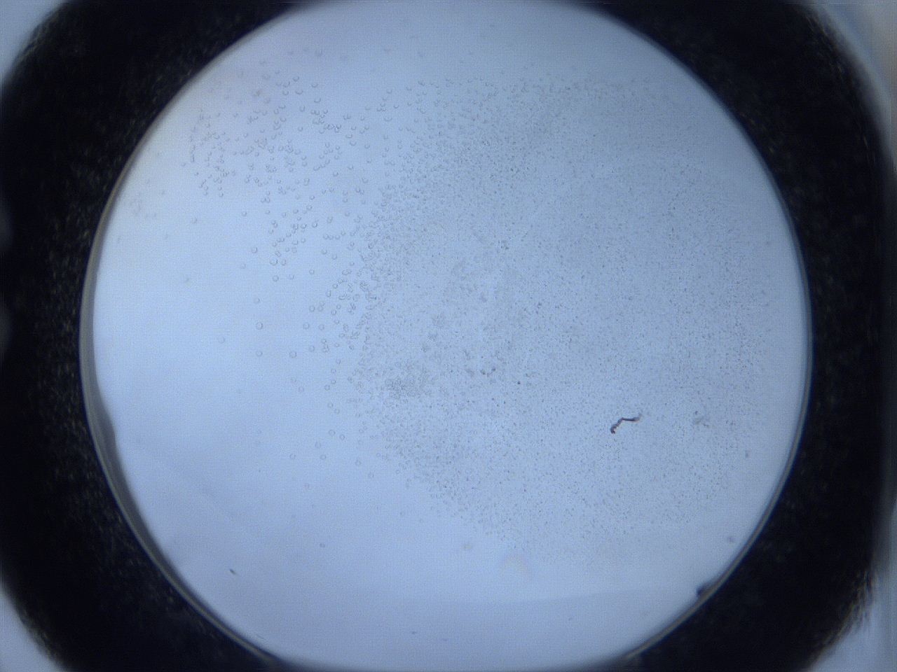 06c3_C9_ImagerDefaults_2.jpg