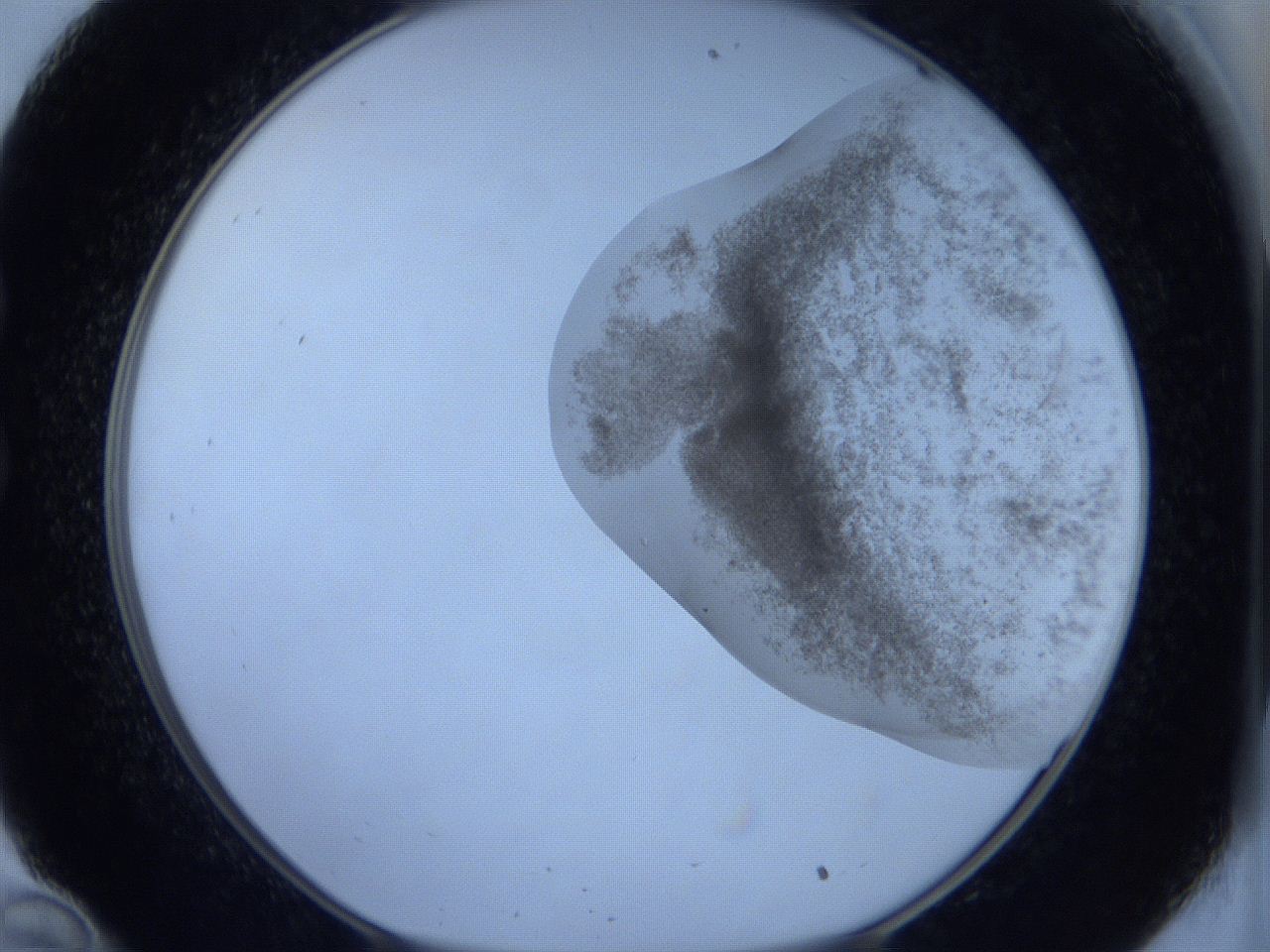 06c3_C10_ImagerDefaults_3.jpg