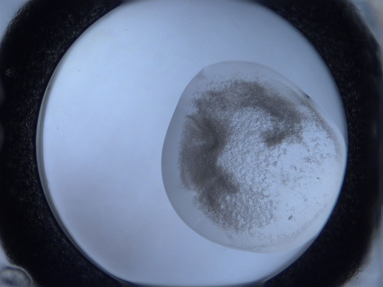 06c3_C12_ImagerDefaults_3.jpg