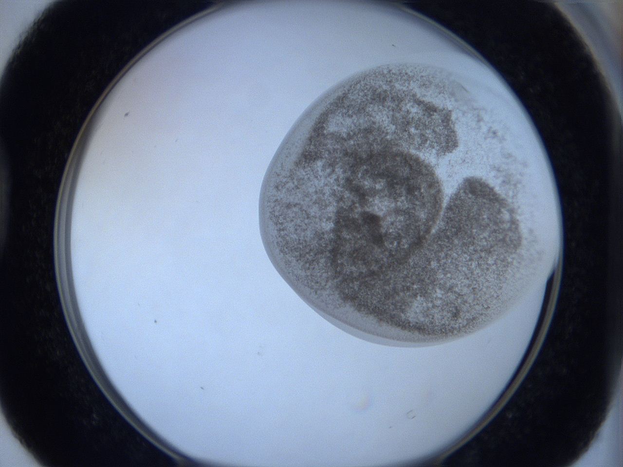 06c3_D4_ImagerDefaults_3.jpg