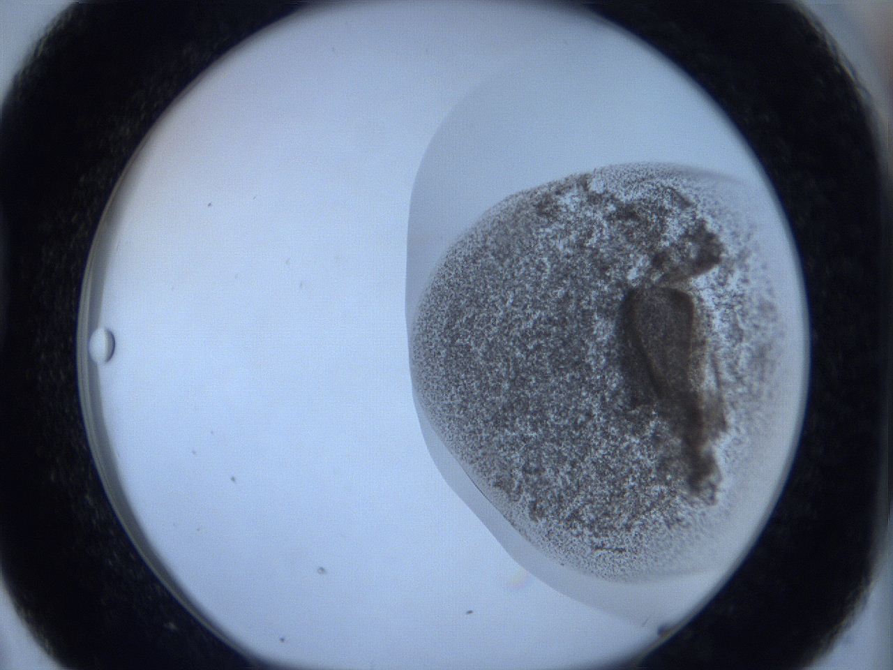 06c3_D7_ImagerDefaults_3.jpg
