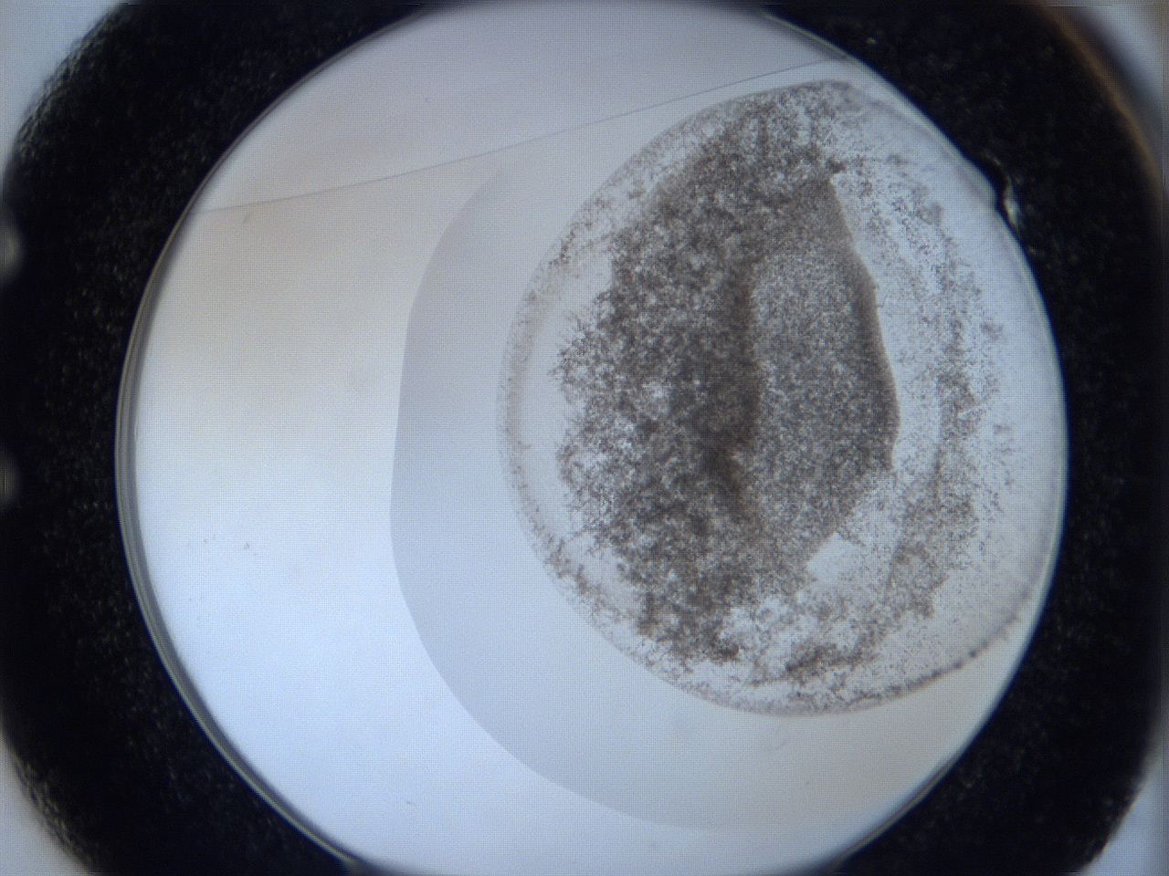 06c3_E1_ImagerDefaults_3.jpg