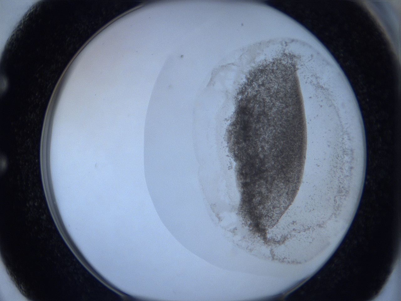 06c3_E2_ImagerDefaults_3.jpg