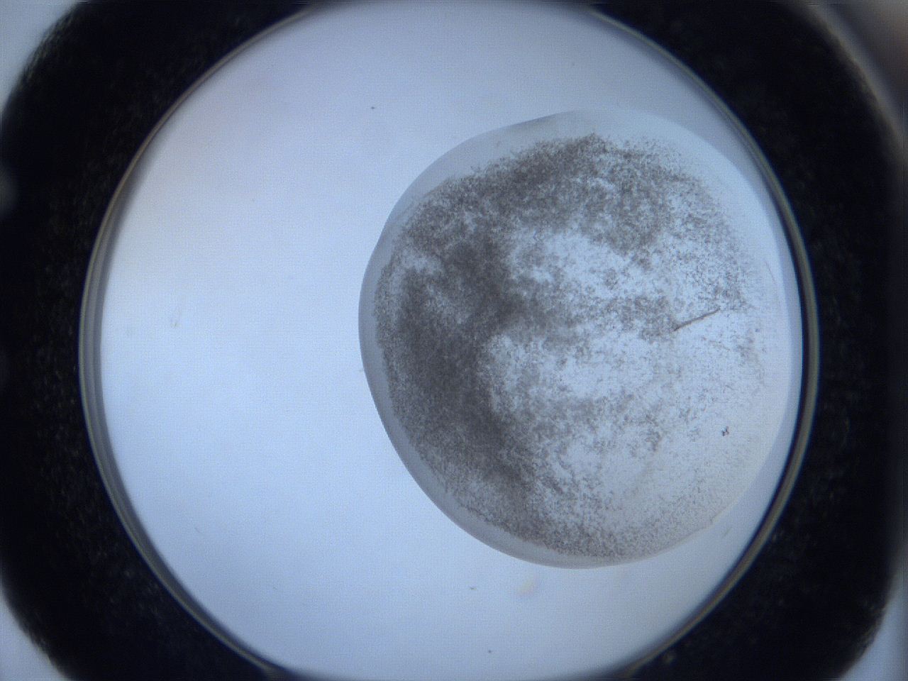 06c3_E4_ImagerDefaults_3.jpg