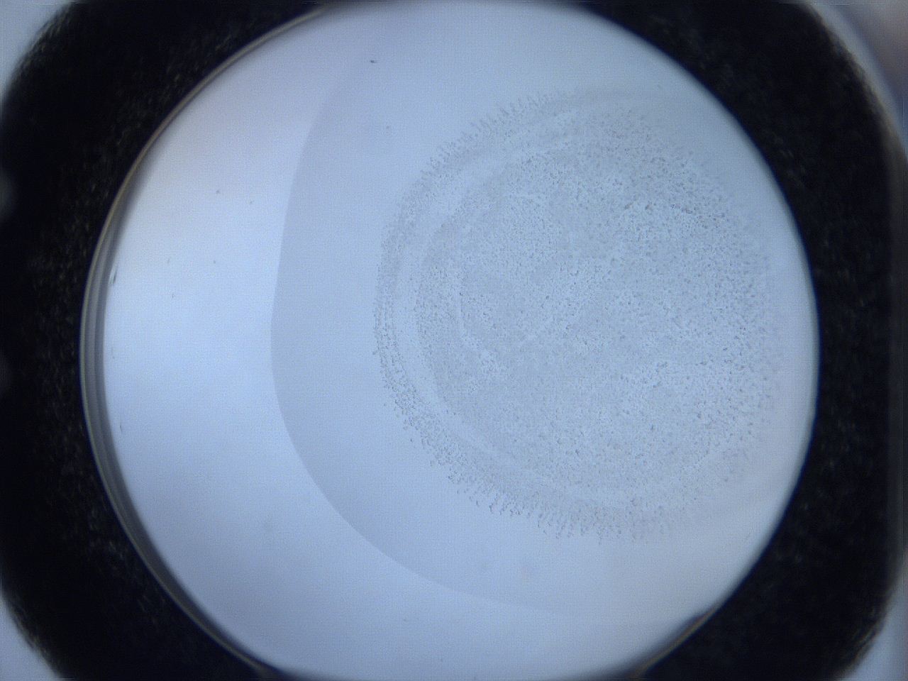 06c3_E5_ImagerDefaults_2.jpg