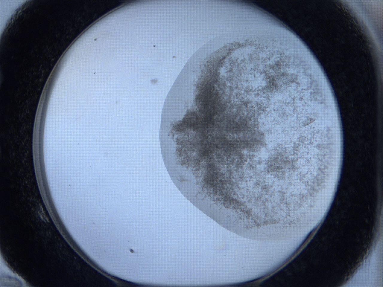 06c3_E10_ImagerDefaults_3.jpg