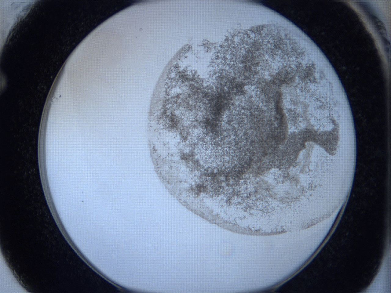 06c3_F1_ImagerDefaults_3.jpg