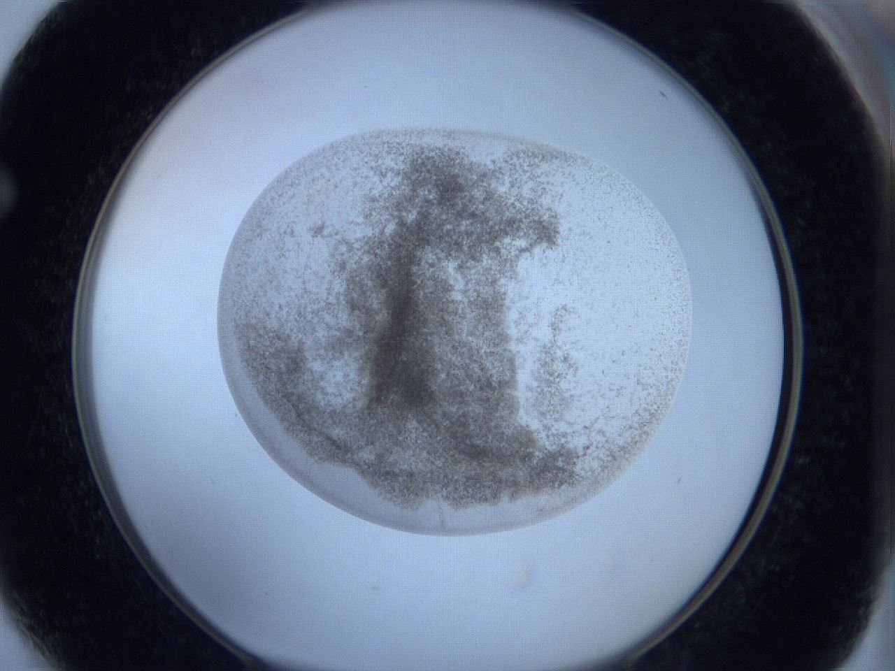 06c3_F4_ImagerDefaults_3.jpg