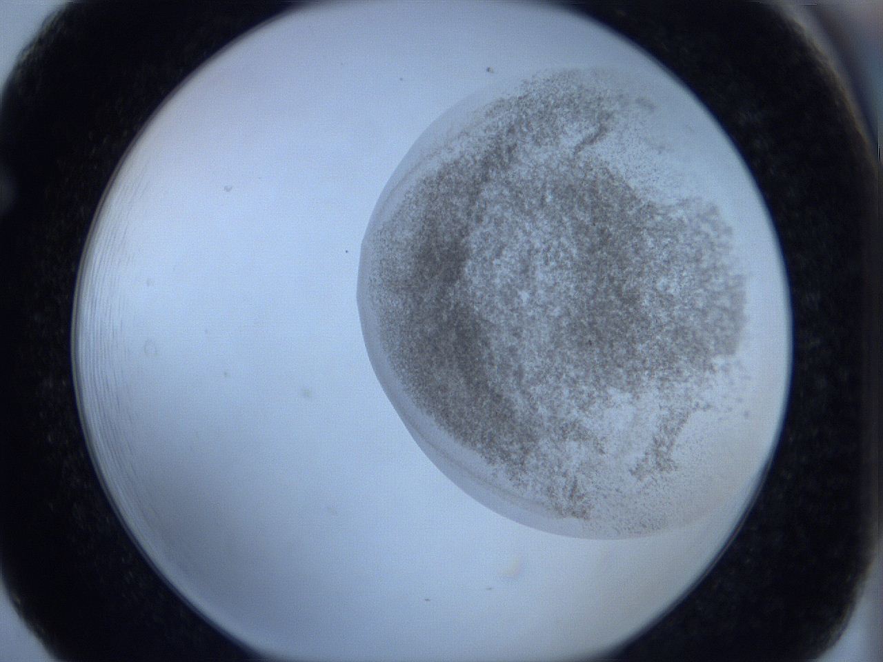 06c3_F5_ImagerDefaults_3.jpg