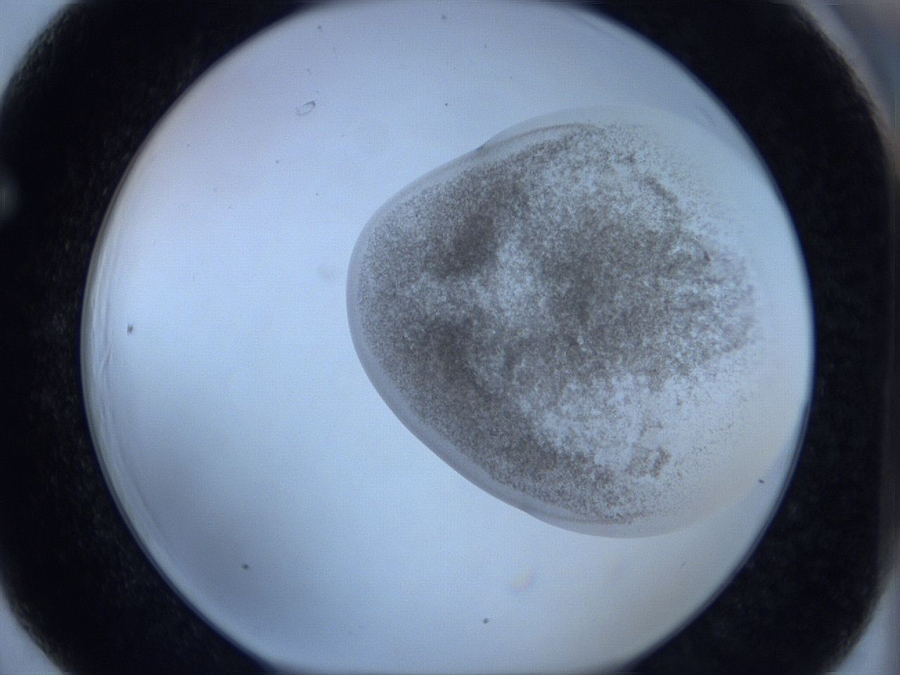 06c3_F6_ImagerDefaults_3.jpg