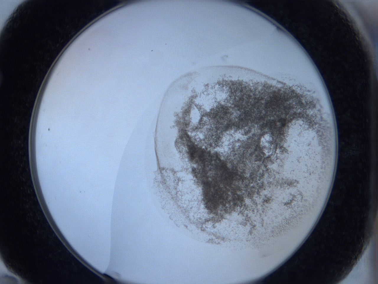 06c3_F10_ImagerDefaults_3.jpg