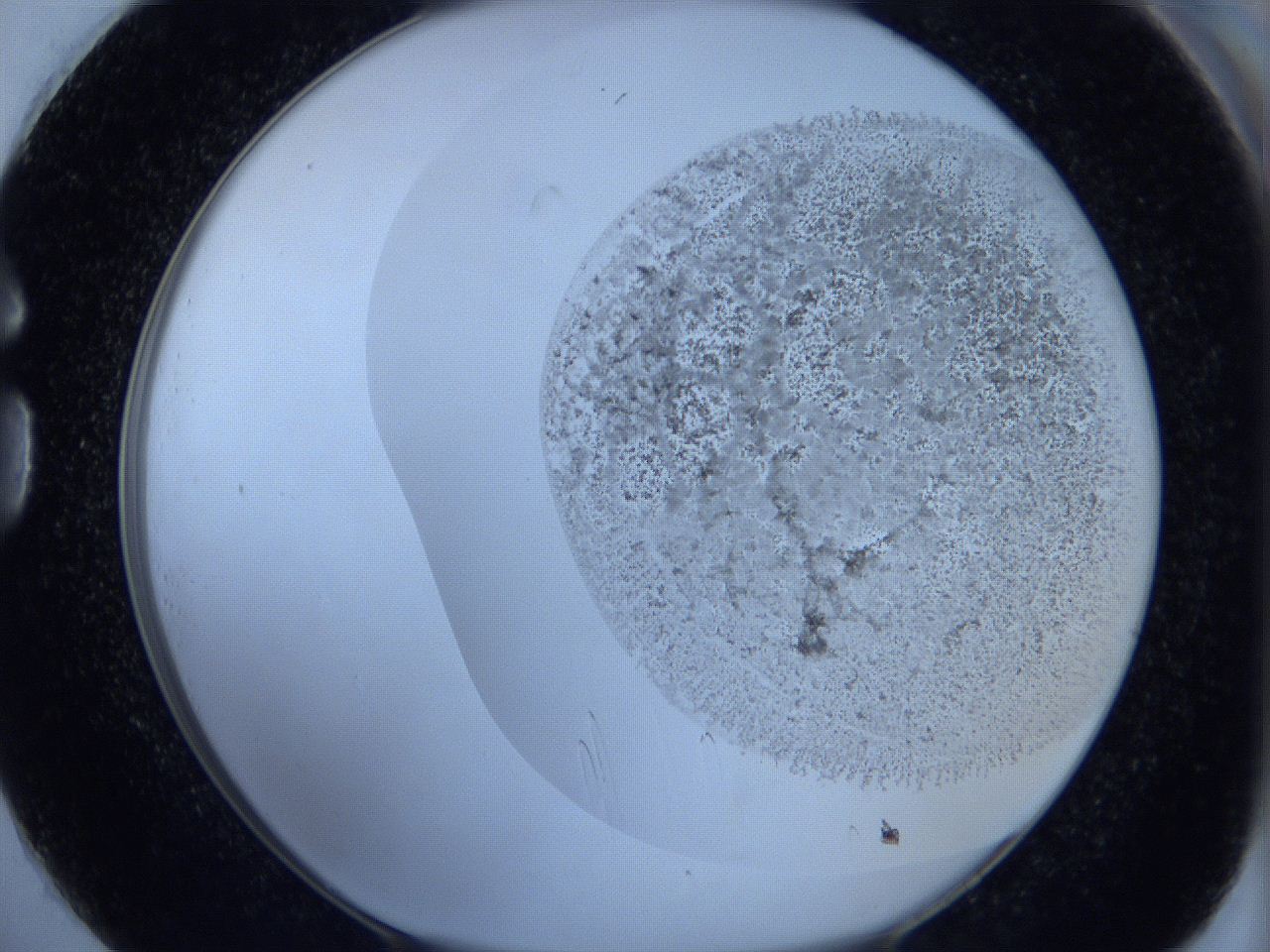 06c3_G1_ImagerDefaults_5.jpg