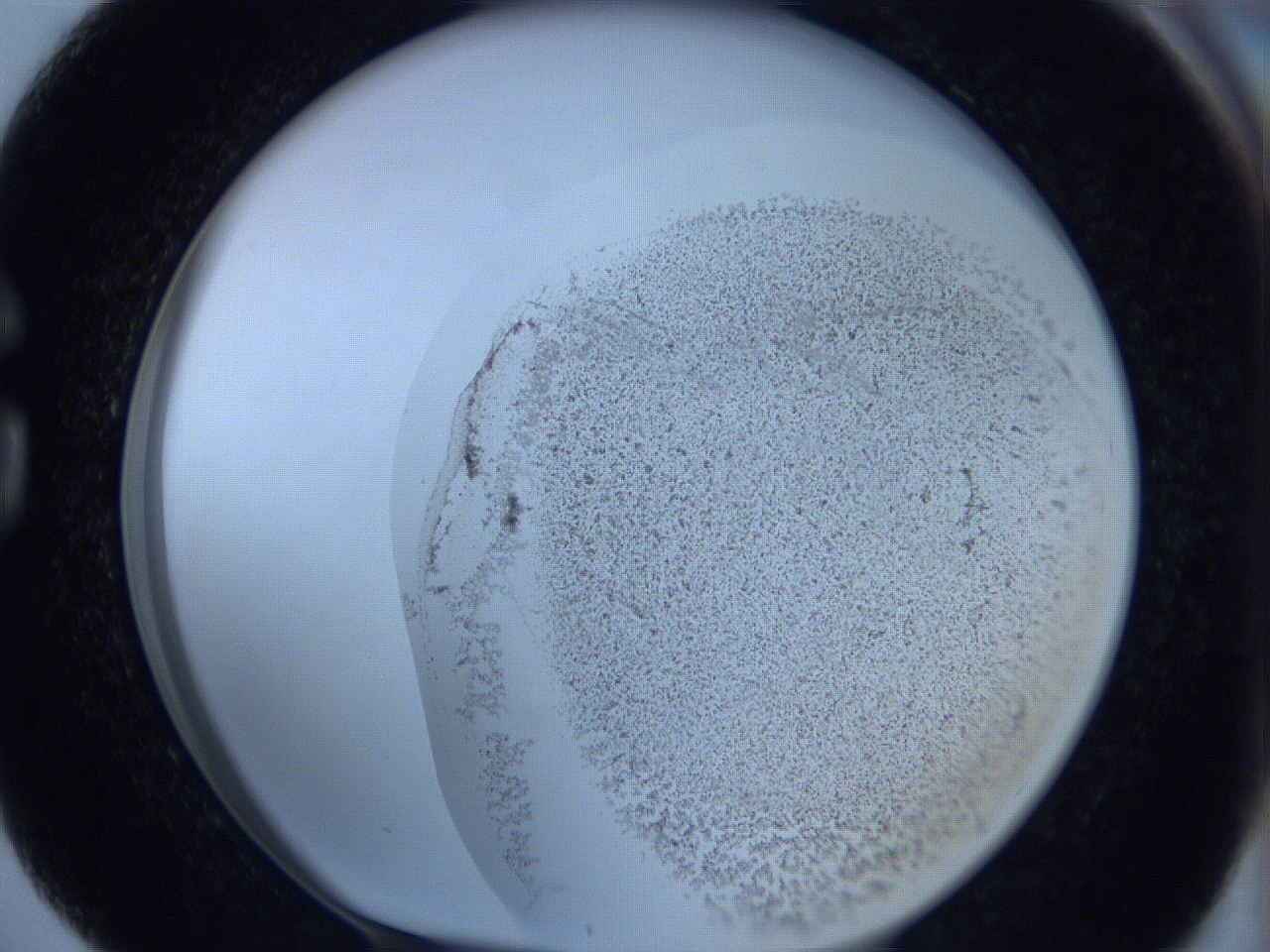 06c3_G4_ImagerDefaults_3.jpg