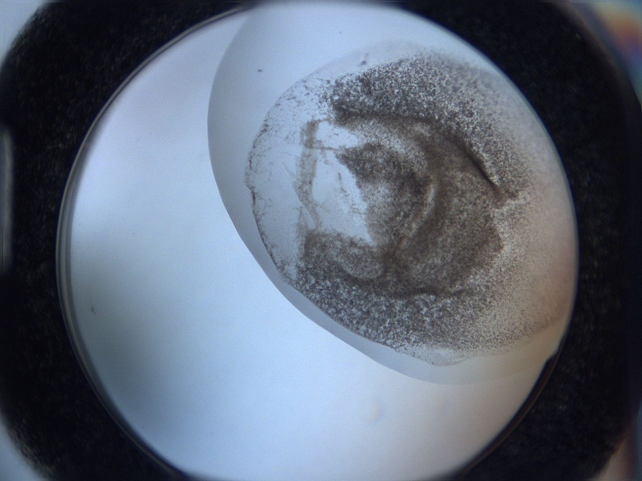 06c3_H5_ImagerDefaults_3.jpg
