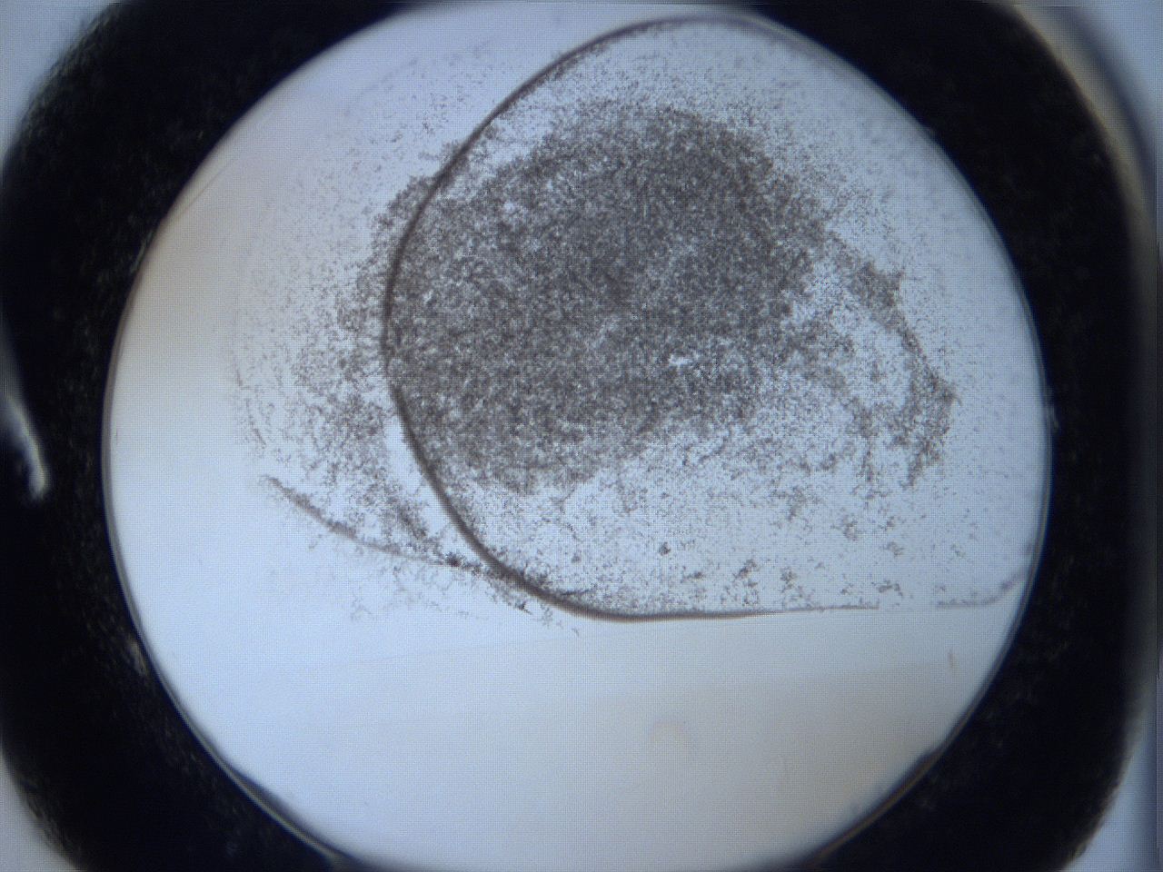 06c4_A1_ImagerDefaults_3.jpg