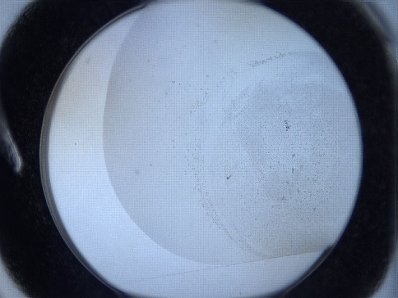 06c4_A3_ImagerDefaults_2.jpg