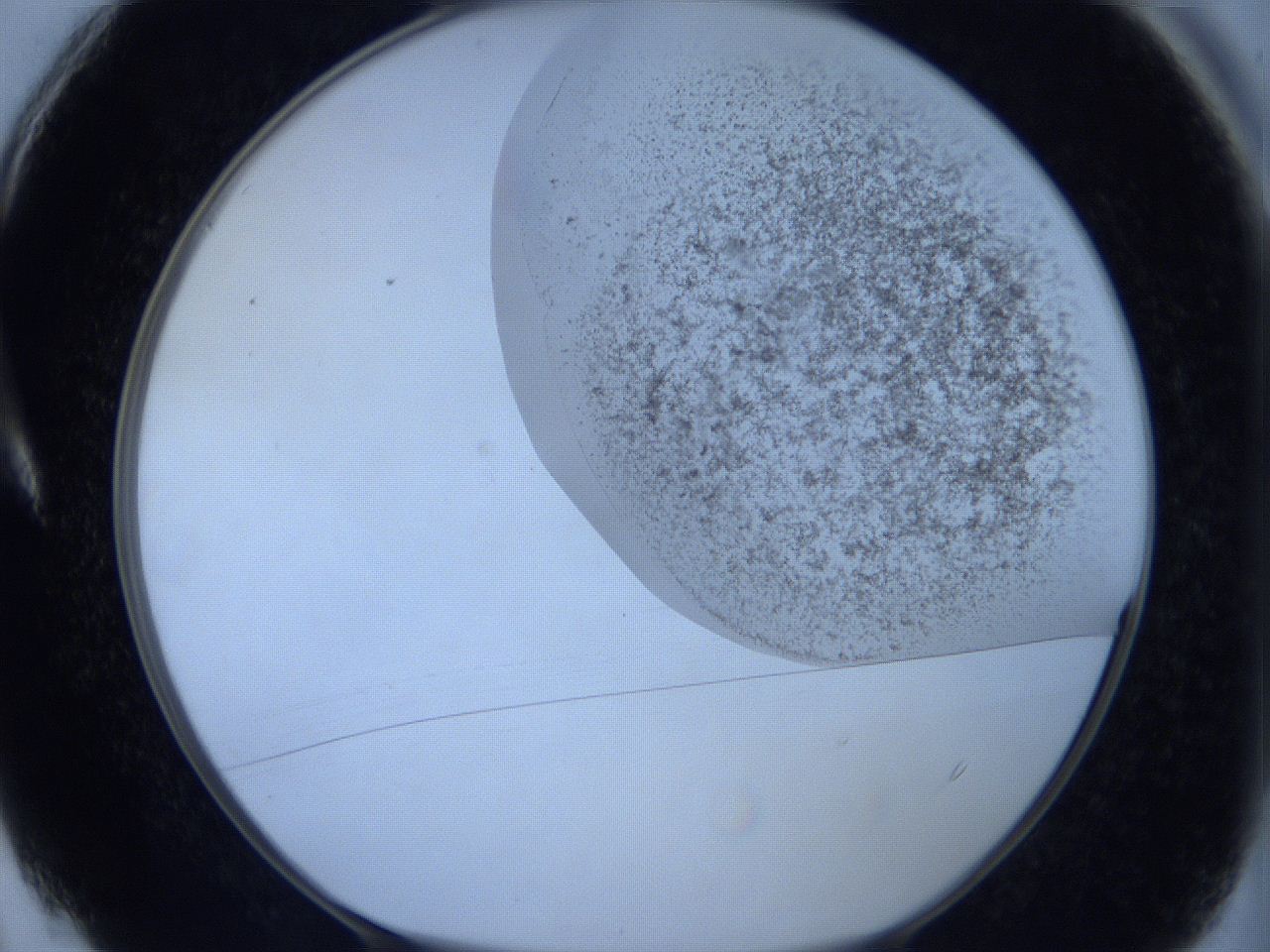 06c4_A4_ImagerDefaults_3.jpg