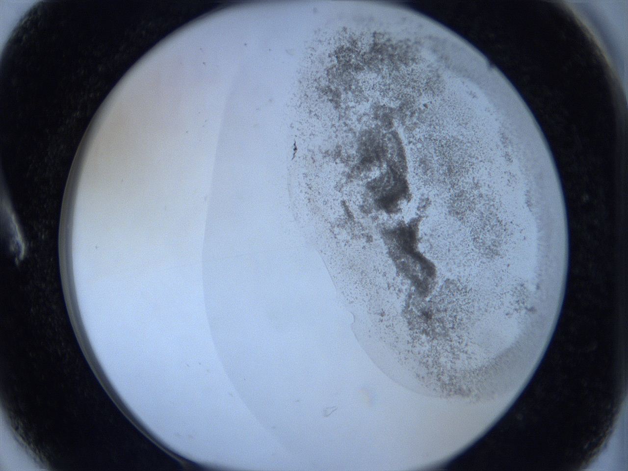 06c4_A6_ImagerDefaults_3.jpg