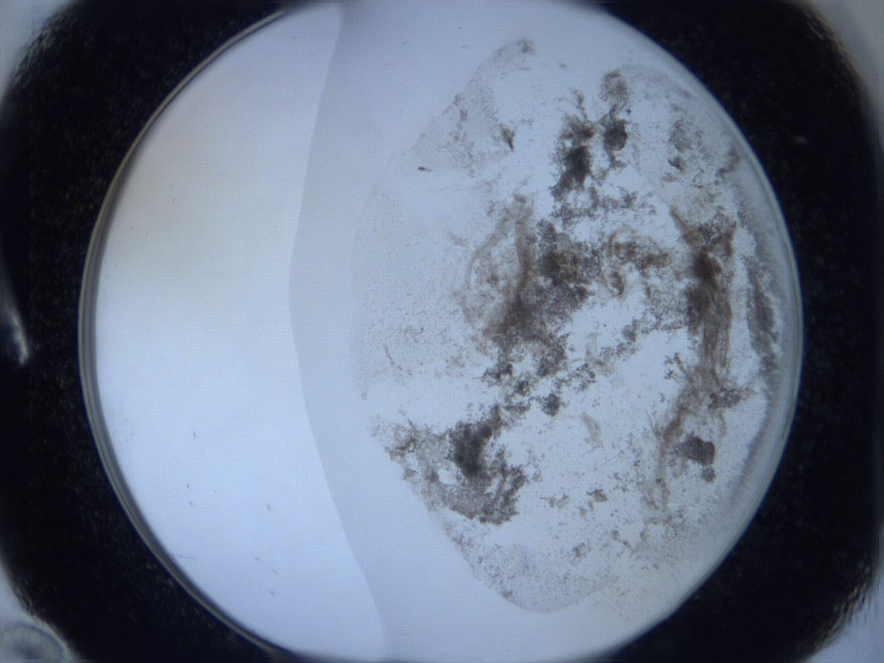 06c4_A10_ImagerDefaults_3.jpg