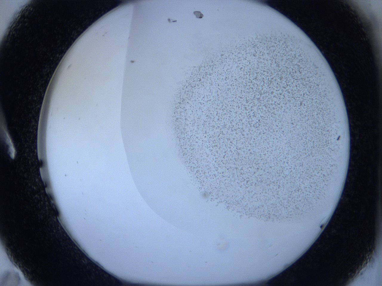 06c4_A11_ImagerDefaults_2.jpg