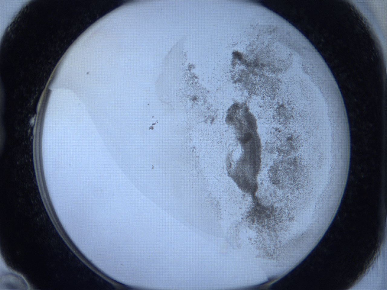 06c4_B10_ImagerDefaults_3.jpg