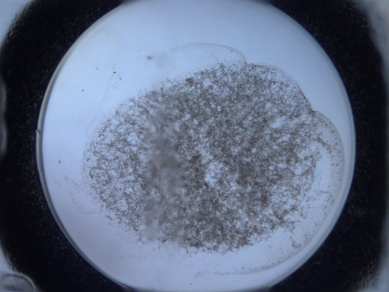 06c4_B12_ImagerDefaults_3.jpg