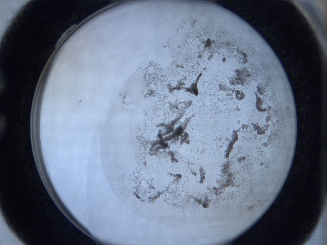 06c4_C4_ImagerDefaults_3.jpg