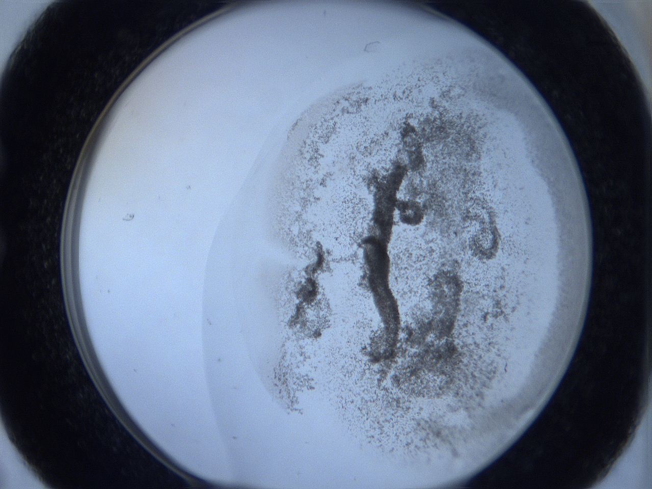 06c4_C7_ImagerDefaults_3.jpg