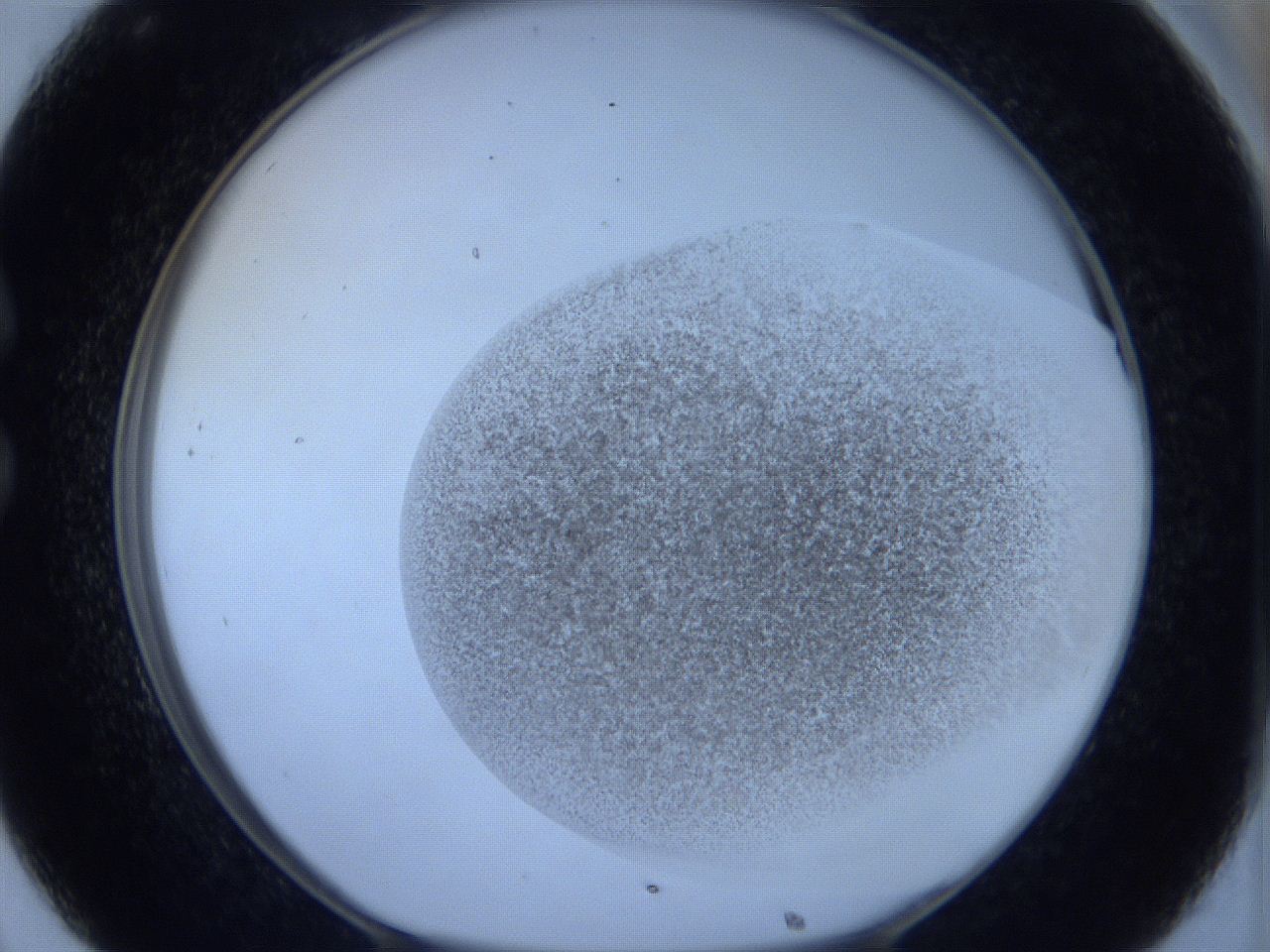 06c4_C8_ImagerDefaults_3.jpg