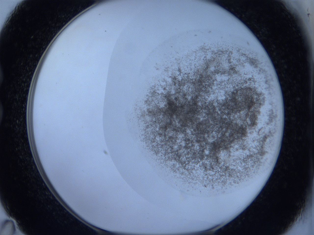 06c4_C11_ImagerDefaults_3.jpg