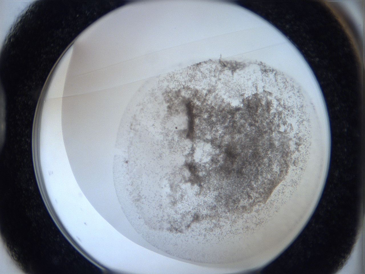06c4_D1_ImagerDefaults_3.jpg