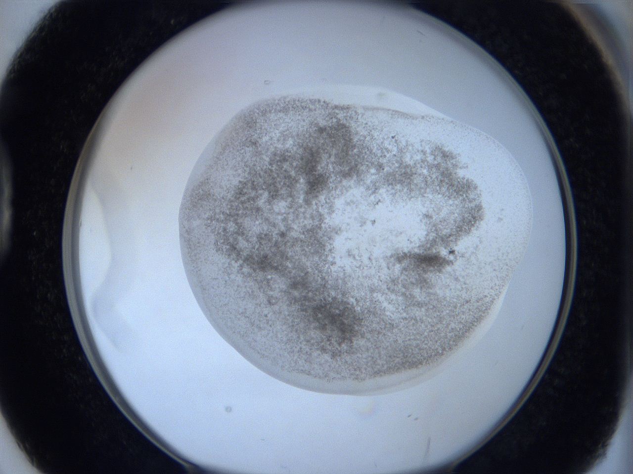 06c4_D2_ImagerDefaults_3.jpg