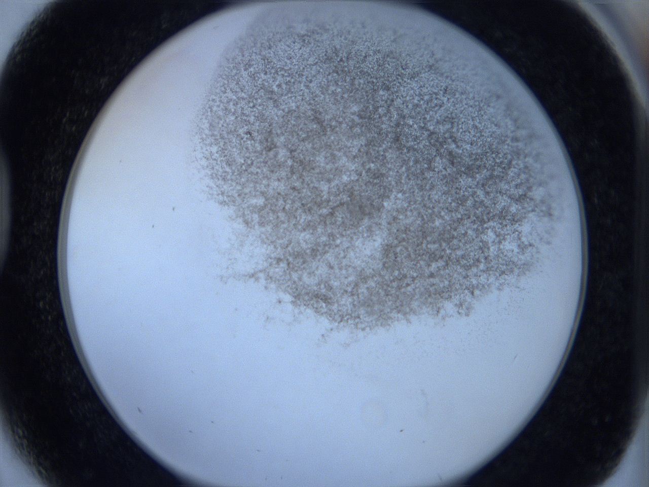 06c4_D5_ImagerDefaults_3.jpg